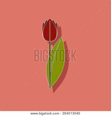 Paper Sticker On Stylish Background Plant Tulipa
