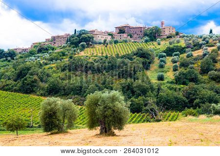 Castelnuovo Dell'abate Near Montalcino In Tuscany, Italy