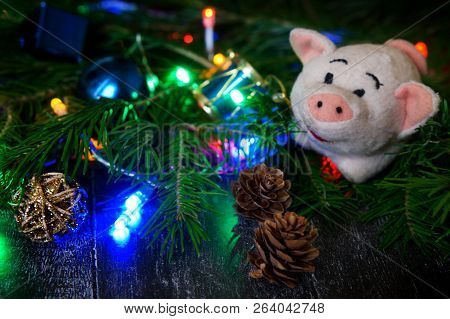 A Vintage Pig Is A Symbol Of The Year Next To A Tree, Cones, Toys And Colorful Lights. Congratulatio