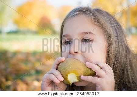 Portrait Of A Beautiful Little Girl Who Eats A Pear On A Picnic In The Autumn Park, Opyspace Nature