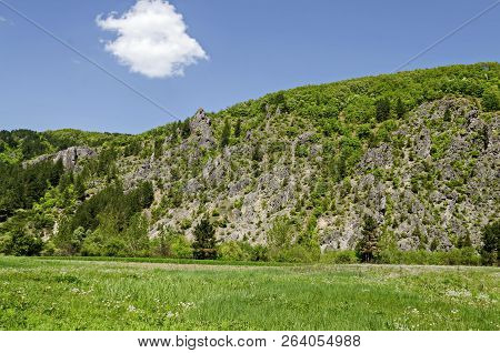 Springtime Green Forest, Rock, Glade And Valley  In The Lozen Mountain, Near To Pasarel Village, Bul