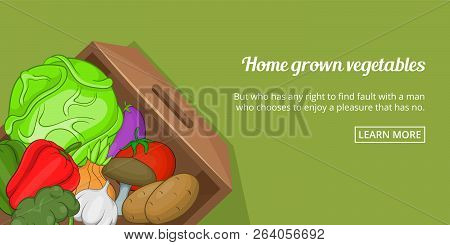 Home Grown Vegetables Banner Horizaontal Concept. Cartoon Illustration Of Home Grown Vegetables Bann