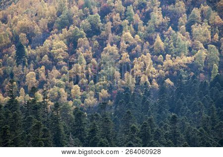 Autumn Landscape In The Mountains Of The Caucasus Near The Village Of Arkhyz. Russia, Karachay-cherk