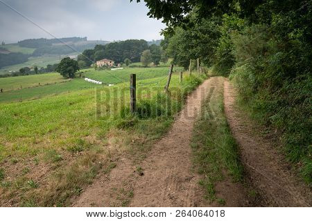 Camino De Santiago Trail Between Tineo And Pola De Allande, Asturias, Spain
