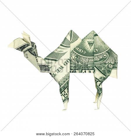 Money Origami Camel Folded With Real One Dollar Bill Isolated On White Background