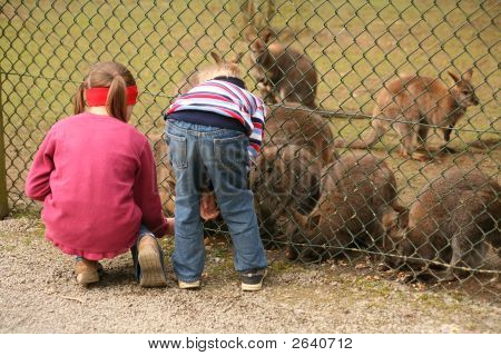 Zoo fremmøde