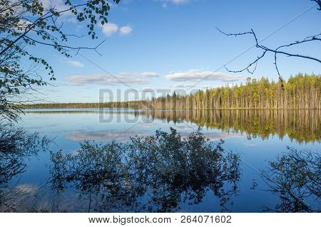 Blue Sky With Clouds And Green Trees Water Reflection Of Autumn Landscape Branch Frame Backdrop