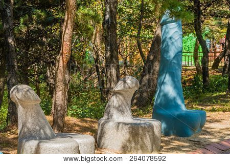 Samcheok, South Korea; September 25, 2018: Concrete Penis Shaped Benches Under Pine Trees In Mountai