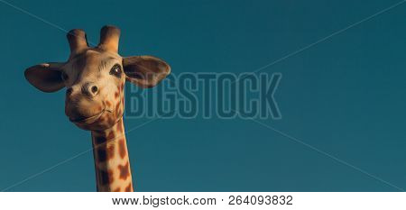 Giraffe Head Against The Sky Background For Postcard
