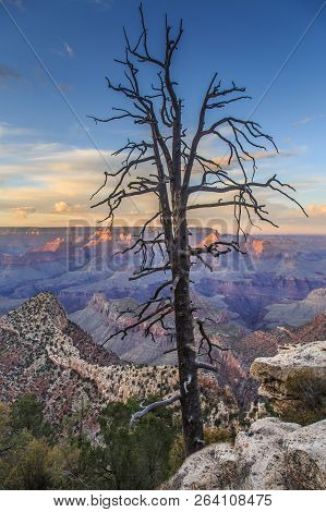 Sunrise At Mather Point, Grand Canyon National Park, Arizona. Photo Shows A Group Of Tourists Watchi