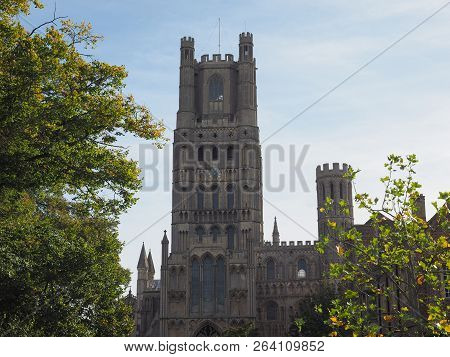 Ely Cathedral In Ely