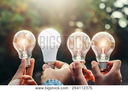 Concept Solar Energy. Hand Holding Lightbulb And Ledlight In Nature