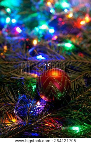 A Red Golden Ball Lies On The Branch Of The Tree Among The Multicolored Lights. Congratulations On T