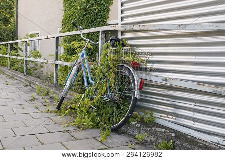 Regensburg, Bavaria, Germany - June 17, 2016: One Parked And Overgrown Bicycle On The Roadside At A 