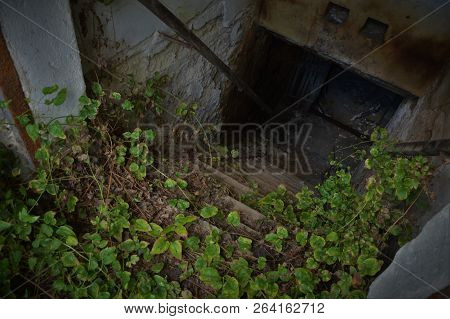 Entry Of An Abandoned Cellar - Horroristic Scene From Above