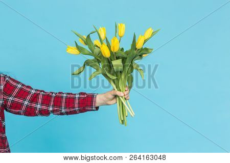Bouquet Of Yellow Tulips In Womens Hand On Blue Background With Copy Space