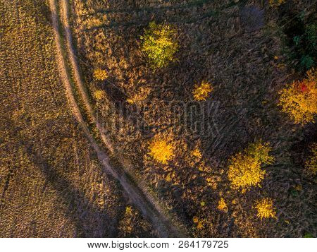 Aerial Top Down: Beautiful Autumn Trees In Yellow, Orange And Red Forest On Sunny Autumn Day.