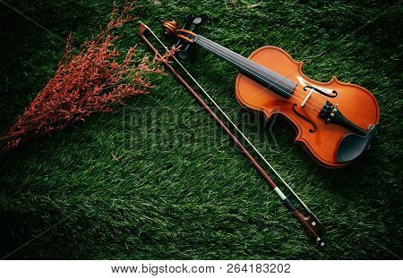 Two Different Size Of Violins Put On Background,warm Light Tone,blurry Light Adesign Background