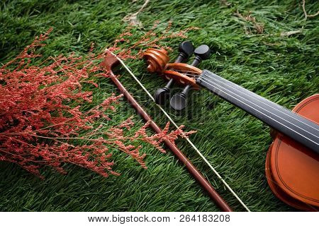 Two Different Size Of Violins Put On Background,warm Light Tone,blurry Light Adesign Background