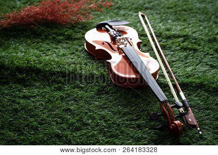 Two Different Size Of Violins Put On Background,warm Light Tone,blurry Light Adesign Background