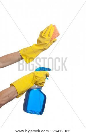 eine Person, die eine Sprühflasche und Gestrüpp Pinsel