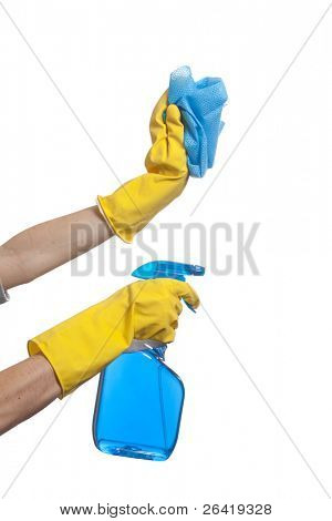 Eine Person hält eine Sprühflasche und Bürste