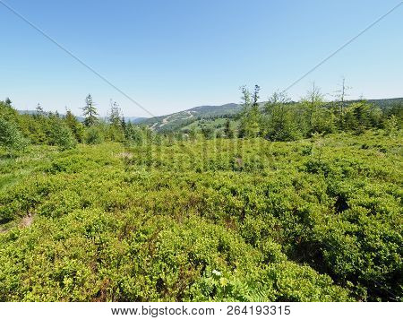 Salmopol Pass Near Kotarz Mount At Green Silesian Beskids Mountains Range Landscapes Above European 