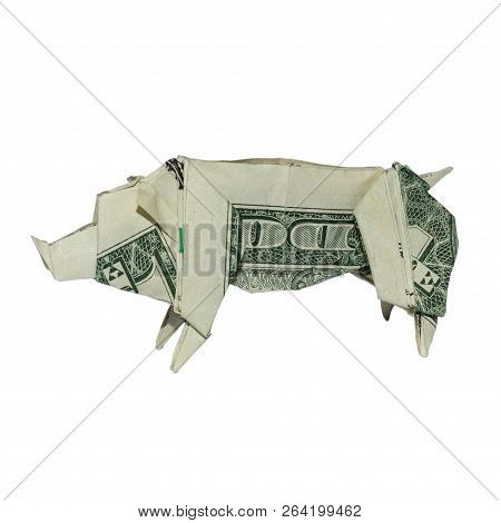 Money Origami Boar Folded With Real One Dollar Bill Isolated On White Background