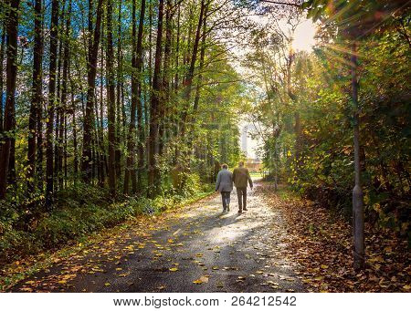 Old Couple Walking Hand In Hand Through Canopy Of Trees In Gothenburg Sweden With Sun Peeping Throug