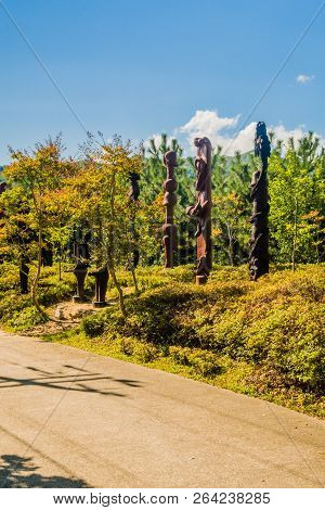Samcheok, South Korea; September 25, 2018: Group Of Wooden Statues Shaped Like Human Penis On Hillsi
