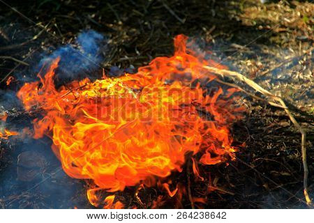 A Dancing Fire In A Fireplace On A Blurred Nature Background, A Fire Texture, A Red Flame.