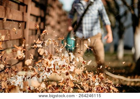Close Up Details Of Leaves Swirling Up When Worker Uses Home Leaf Blower