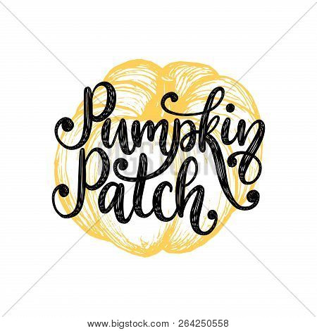 Pumpkin Patch, Hand Lettering On Yellow Background. Vector Pumpkin Illustration For Thanksgiving Inv