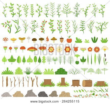 Vector Illustration. Botanical Collection. Branches, Stumps, Flowers, Herbs, And Other Natural Eleme