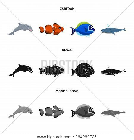 Vector Design Of Sea And Animal Symbol. Set Of Sea And Marine Stock Symbol For Web.