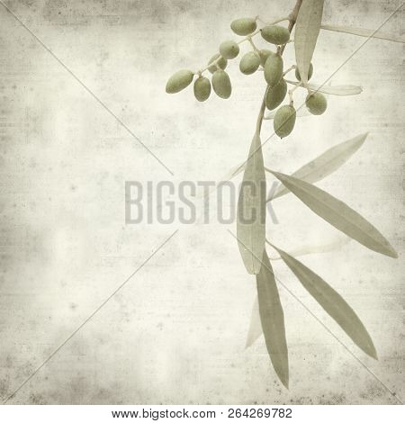 Textured Old Paper Background