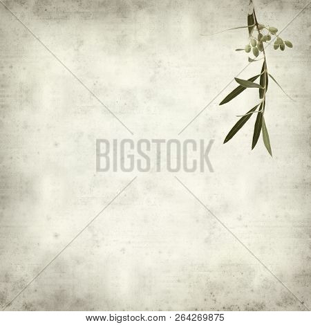 Textured Old Paper Background