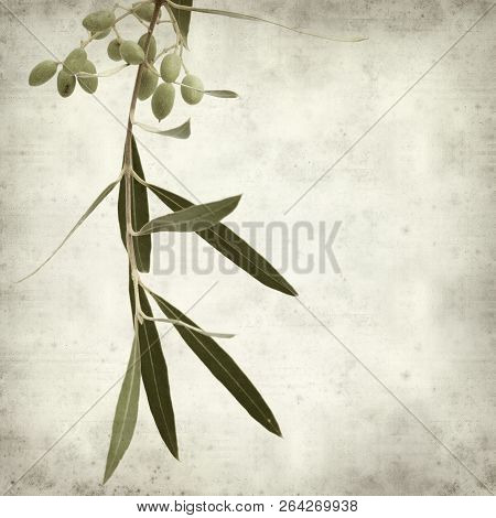 Textured Old Paper Background