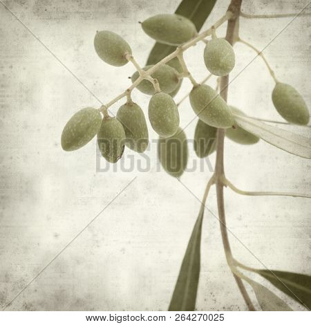 Textured Old Paper Background