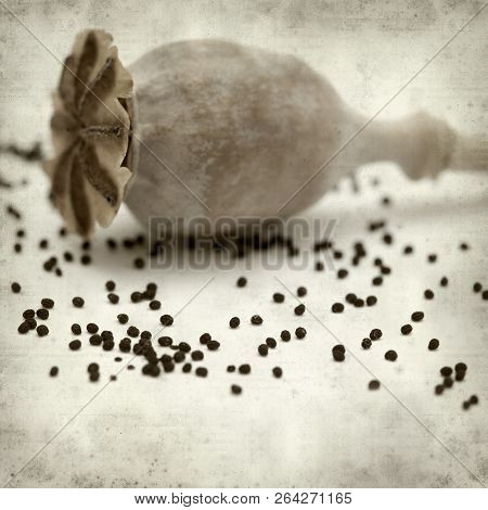 Textured Old Paper Background