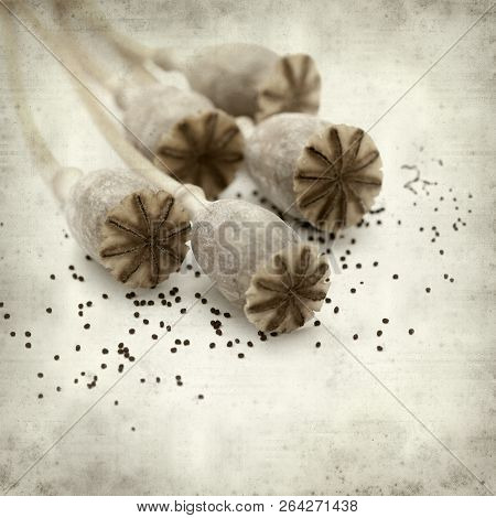 Textured Old Paper Background