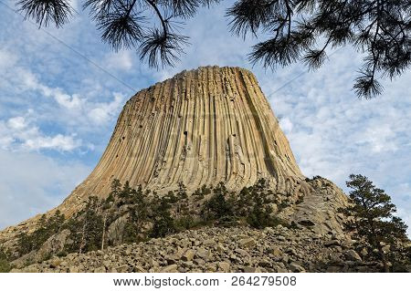 Devils Tower Summit Seen Through The Trees