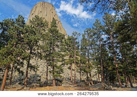 Devils Tower Summit Seen Through The Trees