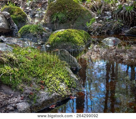 Mossy Rocks In Pring Creek Forest Reflected In Water
