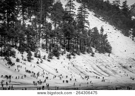 Snow On Michlifen