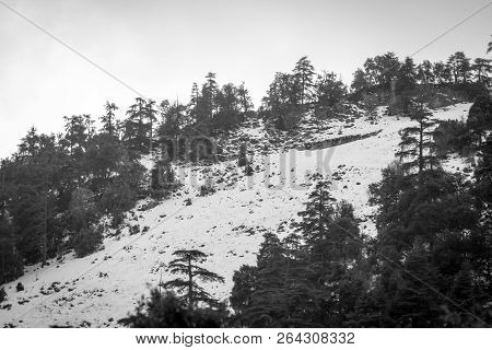 Snow On Michlifen
