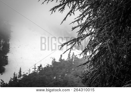 Snow On Michlifen