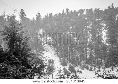 Snow On Michlifen