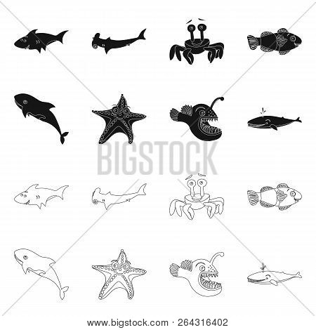 Vector Design Of Sea And Animal Sign. Collection Of Sea And Marine Stock Vector Illustration.