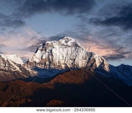 Panorama Of Mount Dhaulagiri - View From Poon Hill On Annapurna Circuit Trek In The Nepal Himalaya